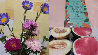 ПАСТИЛА З ЯБЛУК ЗАКЛАДЕНА 🍎🍎🍎 І КНИГАРНЯ📚
