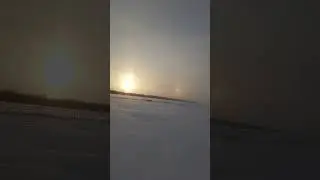 развозим посылки на мотособаке  