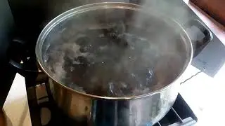 бензиновая плитка ШААЗ  варка грибов