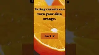 5 fun facts (5) #shorts