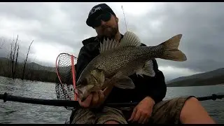 Hinze Dam Bass Fishing|Fishing For Schooled Bass