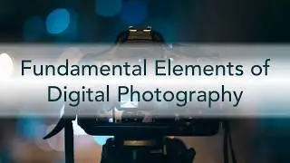 The elements of digital photography: Aperture, shutter speed, and ISO