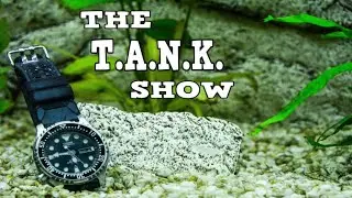 🔴The T.A.N.K Show - Aquarium Talk And Help Live (LIVESTREAM)