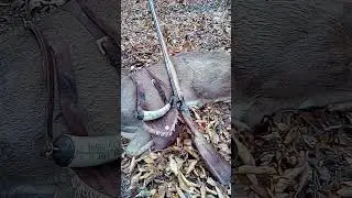 Opening morning