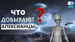 Апексианцы и самая ценная сила во Вселенной!