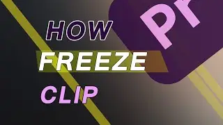 How to Frame Freeze  Stop Time in Premiere Pro
