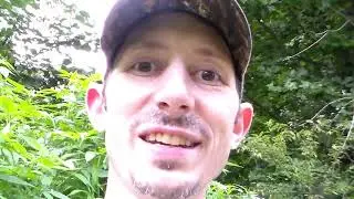 Garden update and Rabbit dispatch