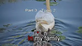 TIẾNG ANH A2 -  SPEAKING - PART 3 - TOPIC 2: MY FAMILY
