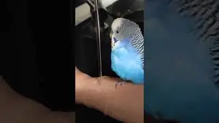 Надо, надо умываться по утрами вечерам! 🚿🛁🧼 