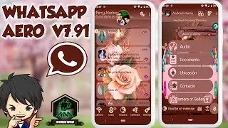 MOD WHATSAPP AERO FLOREAL V 7.91//EDICION FEMENINA 2019