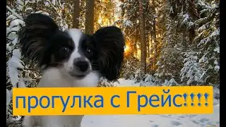 прогулка с Грейс!!!!