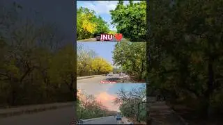 JNU ❤️। Natural Beauty 💚 । #jnu #natural #naturalbeauty #nature #delhi #love