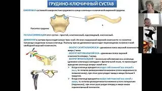 СУСТАВЫ ВЕРХНЕЙ КОНЕЧНОСТИ
