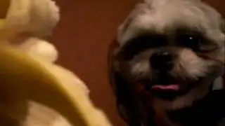 m&a show! banana's?!