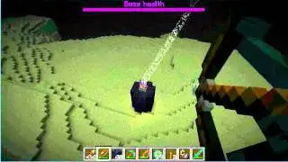 Minecraft Series Episode 5- The End