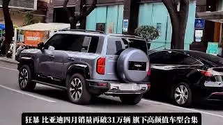 Street Snap -- BYD
