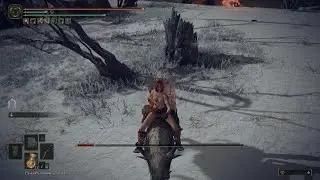 ELDEN RING Nude Disappearing Clothes Glitch Bug