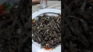 Рыбалка Казахстан видео 11