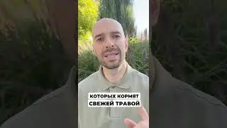 Еда которая натурально повышает уровень тестостерона