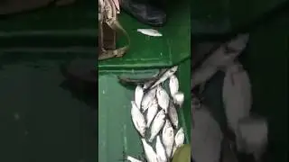 Рыбалка в Астрахани