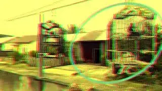 Masteran burung berkicau