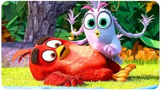 ANGRY BIRDS 2 Best Action Scenes 4K ᴴᴰ