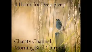 Morning Bird Sounds for Deep Sleep (Black Screen) (4 Hours)
