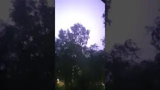 5 июля 2024 г.