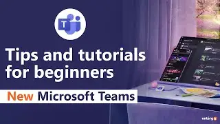 How to use the Microsoft Teams? Old Teams vs. New Teams | Tips and beginner tutorial 2024
