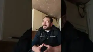 İstanbul'da arıcılık hakkaında 