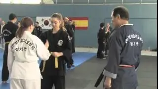 1st JUNG KI HAPKIDO SPAIN SEMMINAR GM LIM HYUN SOO