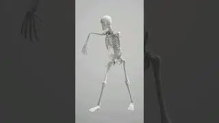 Human body 3D animation dancing video #shorts #short #viral #3d #animation #funny #humanbody #fun