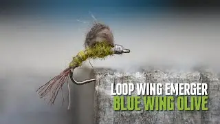 Loop Wing Emerger Blue Wing Olive