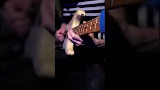 Моцарт, пробач…