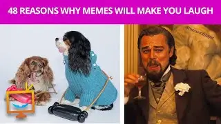 You will laugh at these funny memes