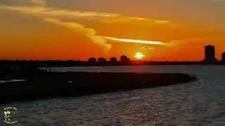 New Orleans Sunset 4K