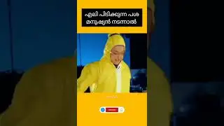 എലി ട്രാപ്