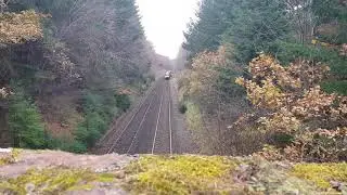 Culloden woods train Bridge