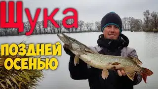 Рыбалка на щуку поздней осенью 🍁 Ловля на Джиг-ригг и микроджиг. Azura X-Game 86 ML.