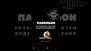 Компания СИЛА⚡️ТОКА СЕО Almas Bazarbekuly