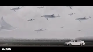 Рем Дигга - Дельфины