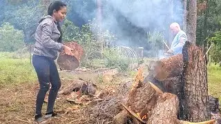 Clearing out the dead tree fell on the Garden Bed | Fixing garden bed