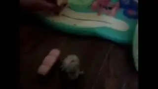 lps:love story 3 серия