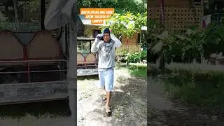 Lampoy #funny #funnymoment #justforfun #funnyshorts #faithandhumor #funnycostumer