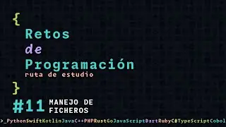 Programming Study Path | 11 - File Management