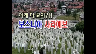 🇧🇦하나도 골치아픈 대통령이3명 정부도 3개!사연많은 보스니아 여행기feat.사라예보 김밥천국 치파스 #bosniaherzegovina #한달살기 #세계여행 #sarajevo