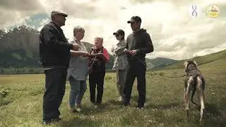 Начинаем генетическое исследование собак тазы! Впервые в Казахстане!