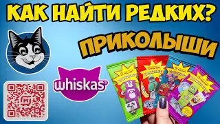 💓 ПРИКОЛЫШИ 💓 Охота за РЕДКИМИ ПРИКОЛЫШАМИ (vlog) // ВЕЗУЧИЙ ХОМЯК