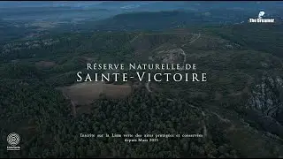 Sainte Victoire - Green List -