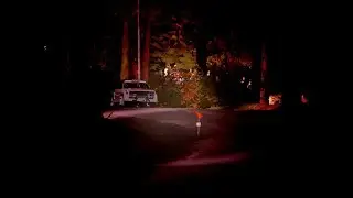 Dirt Rally: Feat 131